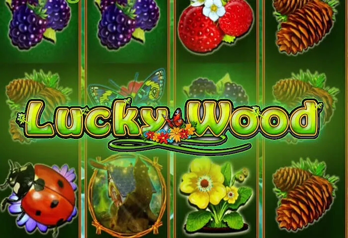 24/7 Playjonny casino customer support